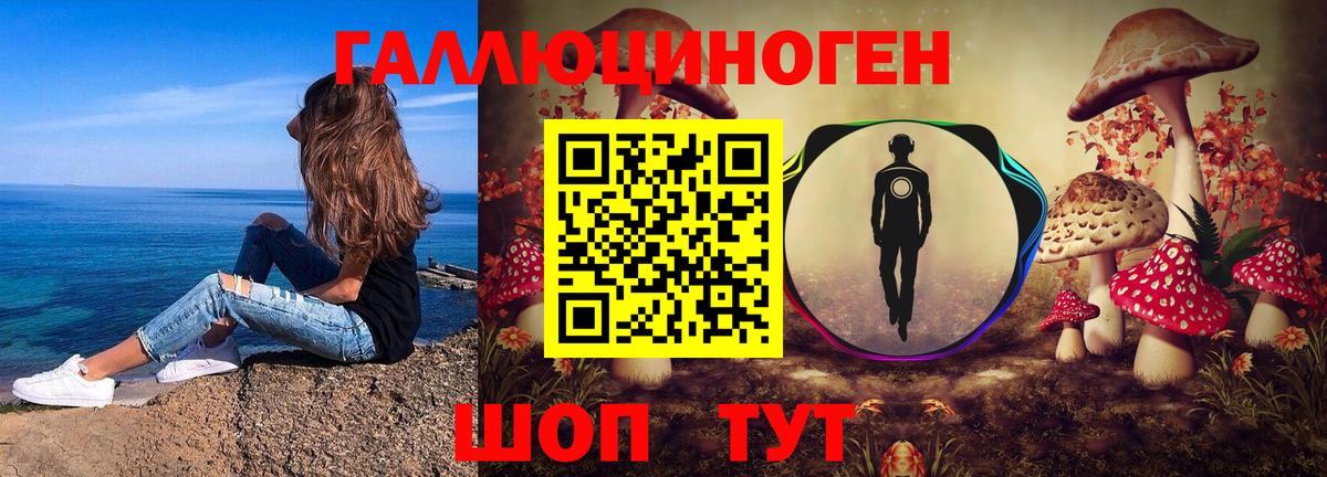 Псилоцибиновые грибы Psilocybine cubensis Медногорск