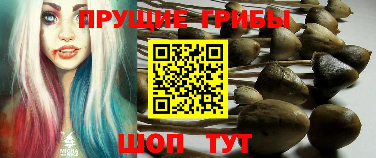 Галлюциногенные грибы мухоморы  купить   Медногорск  Вход с VPN 